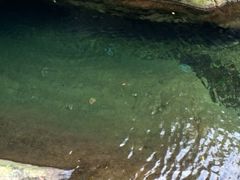 -宁波五龙潭景区