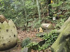 -杭州少年儿童公园