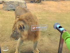 -西霞口神雕山野生动物世界