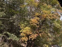 -香山公园
