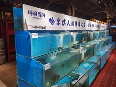 -胖姐渔村(中源大道店)