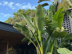 -云溪植物园
