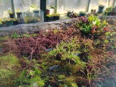 -国家植物园南园