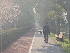 -上海长兴岛郊野公园