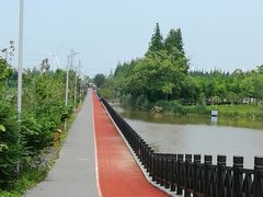 -上海长兴岛郊野公园