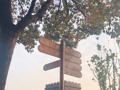 -自然谷恐龙园