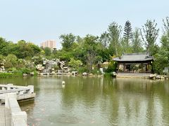-南阳府衙