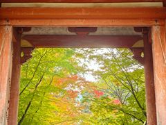 -醍醐寺