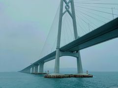 -招商蛇口邮轮母港(观光客运)
