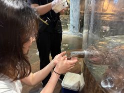 -Zoolung Zoolung动物主题公园(海信广场店)