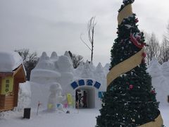 -长白山凯悦酒店·市集咖啡厅