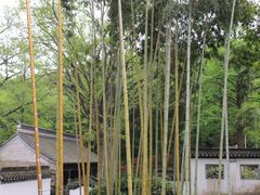 -南山风景名胜区