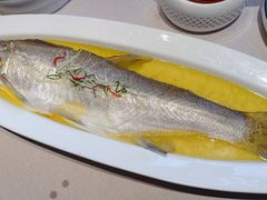 鸡油蒸白水鱼-漢舍中国菜馆(889广场店)
