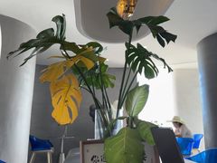 -七七家的糖水店(南湾街1号店)