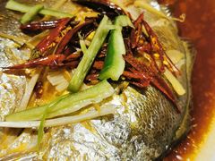 -青瓦餐厅·生鱼片·韩园烤肉(西塔店)