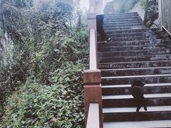 -大渡口区义渡公园