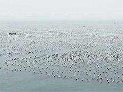 -枸杞岛