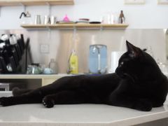 -WATER CAFE(广厦店)