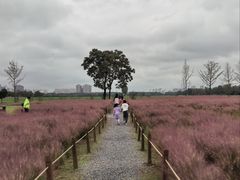 -汉长安城未央宫国家考古遗址公园