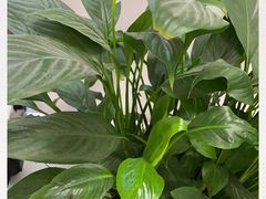 -中田健身工作室(东园店)