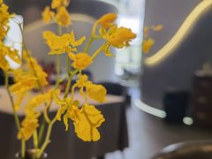 -鑫悦诚府·新鲁菜·餐厅(趵突泉店)