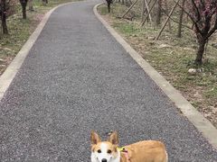 -广富林郊野公园