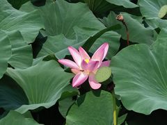 -长春世界雕塑园冰雪艺术天地