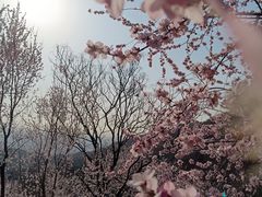 -香山公园