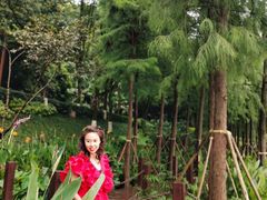 -重庆彩云湖湿地公园