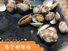 盐焗花螺-洲晓鲜·舟山海鲜大排档(朱家尖风景区店)