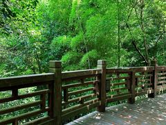 -紫金山天文台