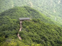 -大岭沟猕猴桃谷风景区
