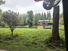 -黄海国家森林公园