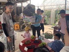 -马陆小张葡萄园农家乐