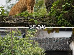 -木渎古镇