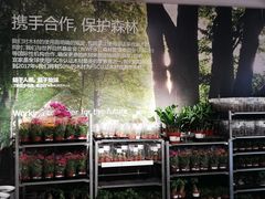 -宜家家居(哈尔滨商场店)