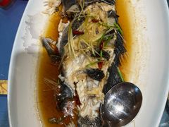 -乔家小院•非遗驴肉•本地小海鲜(滨河路店)
