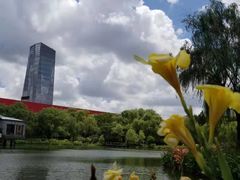 -中国浦东干部学院