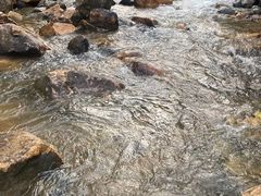 -广州白江湖森林公园