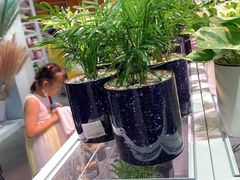 -深圳龙华星河COCO City(民治店)