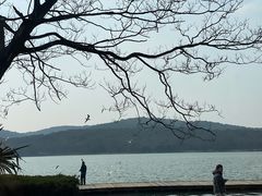 -水上明月·湖景餐厅