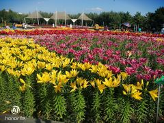 -长春公园(普阳街道)