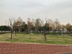 -上海山野camping·户外天幕烧烤·团建拓展营地