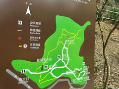 -上海佘山国家森林公园天马山园