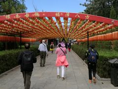 -大槐树寻根祭祖园