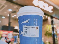 卿卿-茶理宜世(花城汇中区店)