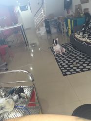 -以墨纹身