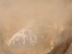 -富贵铁锅炖(一部)