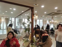 -共舞时光猫咖·狗咖(新街口店)