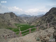 -新疆天山野生动物园